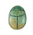 Scarab Inscribed for the God's Wife Hatshepsut, Living Forever, Steatite (glazed)