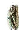 Scarab Inscribed Hatshepsut United with Amun, Steatite (glazed)