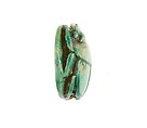 Scarab Inscribed for Maatkare (Hatshepsut), Steatite (glazed)