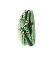 Scarab Inscribed Maatkare (Hatshepsut), She Lives, Steatite (glazed)
