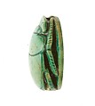 Scarab Inscribed for the Perfect God Maatkare (Hatshepsut), Flanked by Two Red Crowns, Steatite (glazed)