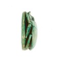 Scarab Inscribed King of Upper and Lower Egypt Maatkare, Having Dominion, Steatite (glazed)