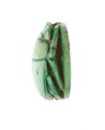 Scarab Inscribed for Maatkare (Hatshepsut), Lord of the Two Lands, Steatite (glazed)
