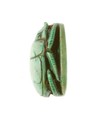 Scarab Inscribed Lord of the Two Lands Maatkare (Hatshepsut), Steatite (glazed)