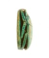 Scarab Inscribed Lord of the Two Lands Maatkare (Hatshepsut)  Flanked by Two Falcons, Steatite (glazed)