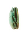 Scarab Inscribed Lord of the Two Lands Maatkare (Hatshepsut), Given Life Forever, Steatite (glazed)