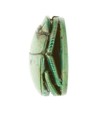 Scarab Inscribed for the "Female Horus, Wosretkau", Steatite (glazed)