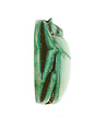 Scarabs Inscribed for the God's Wife Neferure, Steatite, glazed