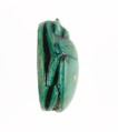 Scarab Inscribed with the Name of the God Amun-Re, Steatite (glazed)