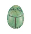 Scarab Inscribed with a Decorative Motif, Steatite (glazed)