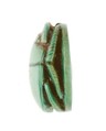 Scarab Inscribed with a Hieroglyphic Motif, Steatite (glazed)