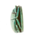 Scarab Inscribed with a Hieroglyphic Motif, Steatite (glazed)