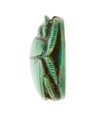 Scarab Inscribed with a Hieroglyphic Motif, Steatite (glazed)