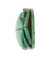 Scarab Inscribed with a Hieroglyphic Motif, Steatite (glazed)
