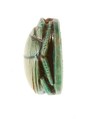 Scarab Inscribed with a Hieroglyphic Motif, Steatite (glazed)