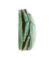 Scarab Inscribed with a Hieroglyphic Motif, Steatite (glazed)