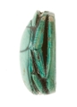 Scarab Inscribed with a Grazing Antelope, Steatite (glazed)