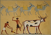 Laden Donkeys and Ploughing, Tomb of Djar, Nina de Garis Davies, Paper, tempera paint, ink