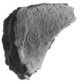 Administrative Seal, Clay (unfired)