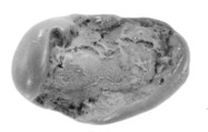 Administrative Seal, Clay (unfired)