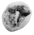Sealing fragment, Clay (unfired)