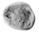 Sealing fragment, Clay (unfired)
