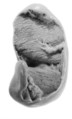 Sealing fragment, Clay (unfired)