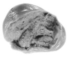Sealing fragment, Clay (unfired)