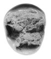 Sealing fragment, Clay (unfired)