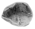 Sealing fragment, Clay (unfired)