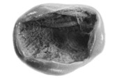 Sealing fragment, Clay (unfired)