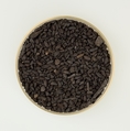 Sample of Grain from Merimda, Burned Grain