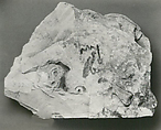 Name Stone of Senenmut, Limestone, paint