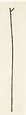 Staff of  Amenhotep, Wood