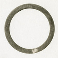 Ring?, Tortoise shell (?)