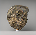 Fragment from the Head of a Queen's Statue, Granodiorite