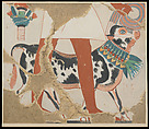Detail of a Bull from a Procession of Offering Bearers, Nina de Garis Davies , Egyptian Expedition Graphic Section, Tempera on paper