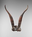 Bucrania skulls with antlers, Antler, bone, paint
