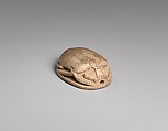 Scarab, Faience