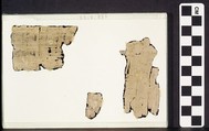 Heqanakht Papyrus Fragments, Papyrus, ink