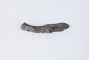 Rim fragment, Silver