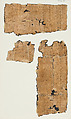 Papyrus, Papyrus