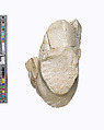 Head of Akhenaten Wearing the Blue Crown, traces of a hieroglyph behind the neck, Indurated limestone
