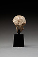 Head of a King with a Nemes Headdress, Limestone
