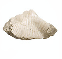 Nefertiti breast and shoulder fragment, cartouche [of Aten], Indurated limestone