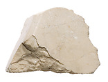 Fragment of block with beveled corner, Indurated limestone