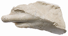 Foot fragment, Indurated limestone