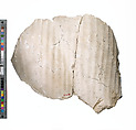 Thighs of Nefertiti, Indurated limestone