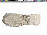 Left foot fragment, Indurated limestone