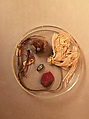 Scaraboid, Steatite, gold